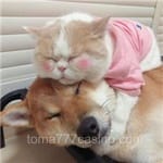 Avatar de Inés Cazares